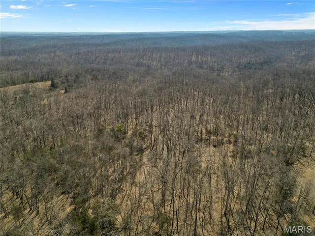 $121,500 | 0 Highway N Perryville Mo 63775, Perryville, MO 63775