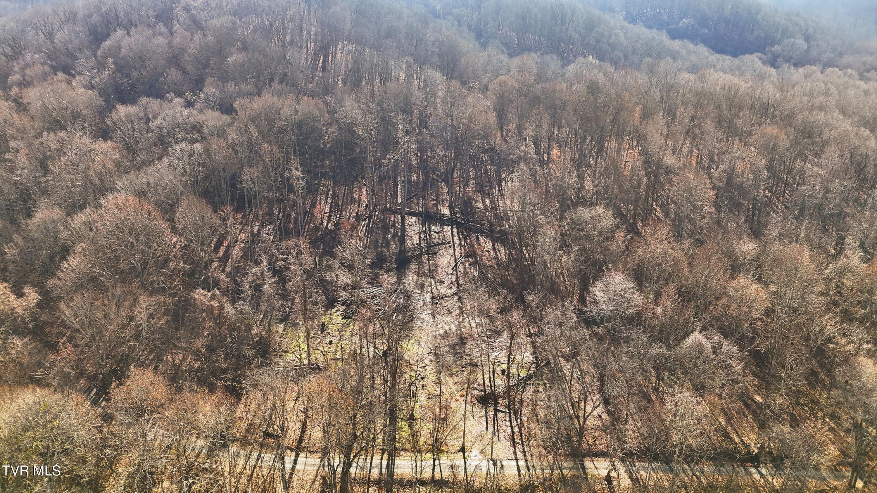 270 Freedom Road Limestone, TN 37681 - Photo 11 of 13 dji_20251213120839_0008_d