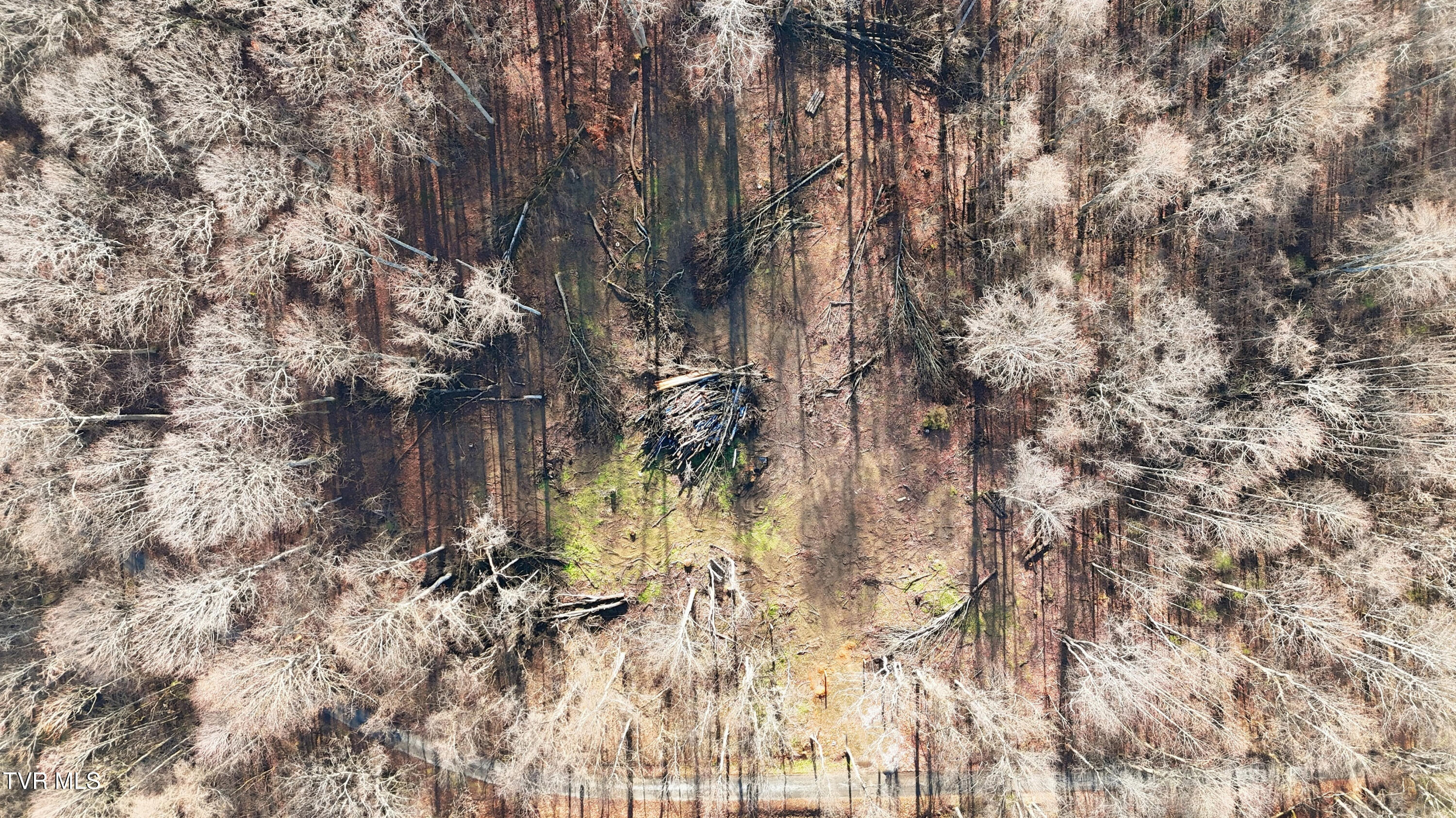 270 Freedom Road Limestone, TN 37681 - Photo 13 of 13 dji_20251213120919_0011_d