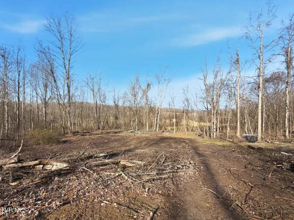 $199,000 | 270 Freedom Road, Limestone, TN 37681