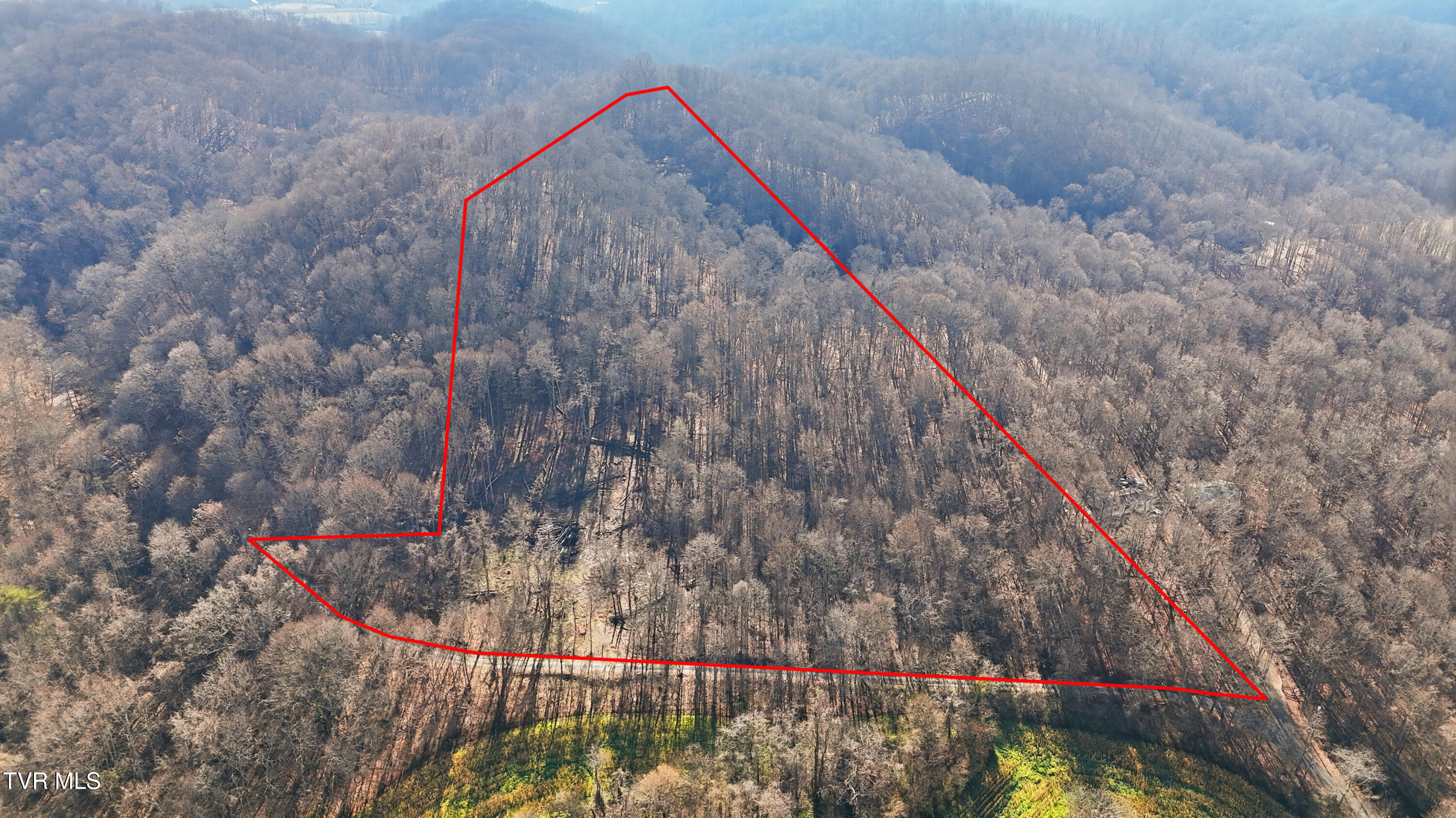 270 Freedom Road Limestone, TN 37681 - Photo 4 of 13 dji_20251213120547_0002_d