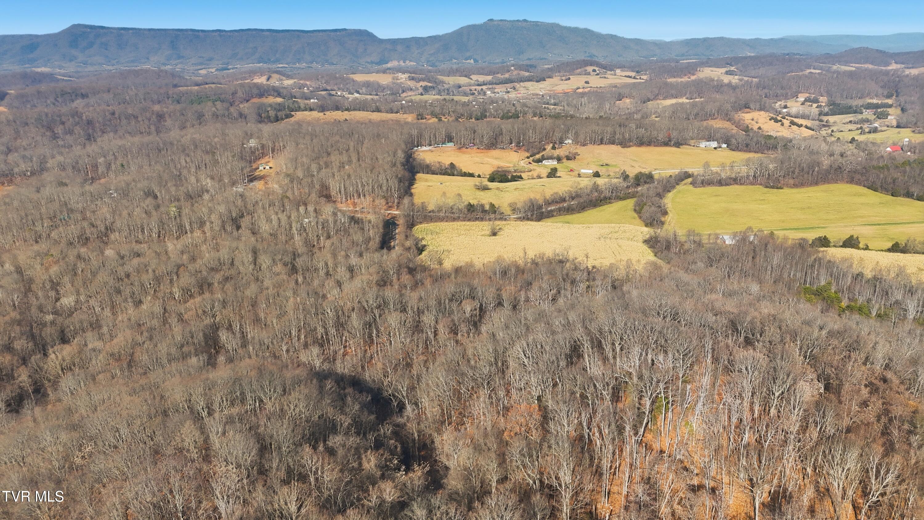 270 Freedom Road Limestone, TN 37681 - Photo 7 of 13 dji_20251213120714_0004_d