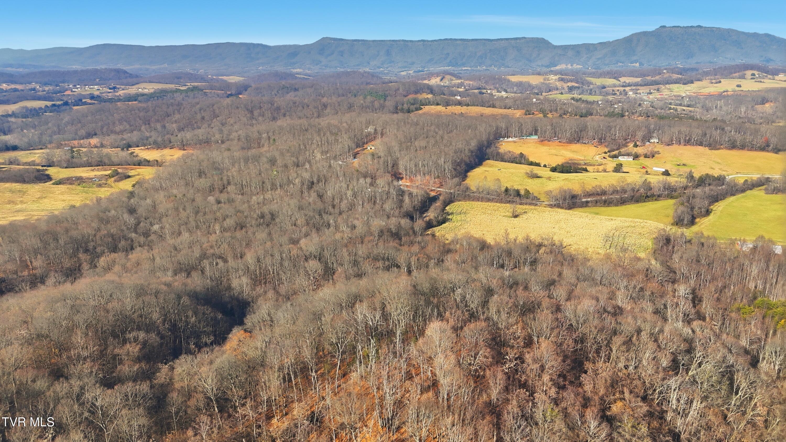270 Freedom Road Limestone, TN 37681 - Photo 8 of 13 dji_20251213120731_0005_d
