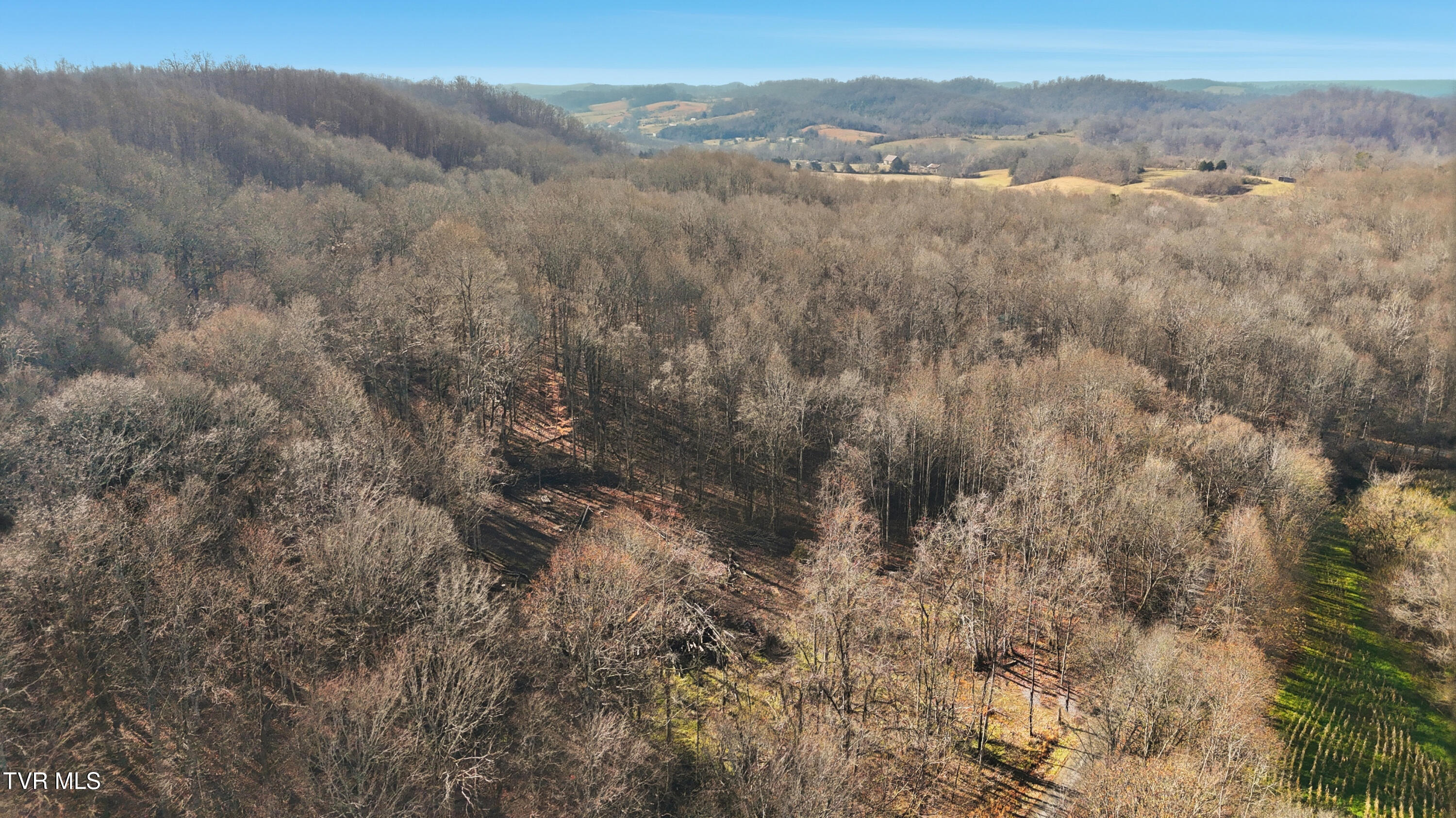 270 Freedom Road Limestone, TN 37681 - Photo 10 of 13 dji_20251213120826_0007_d