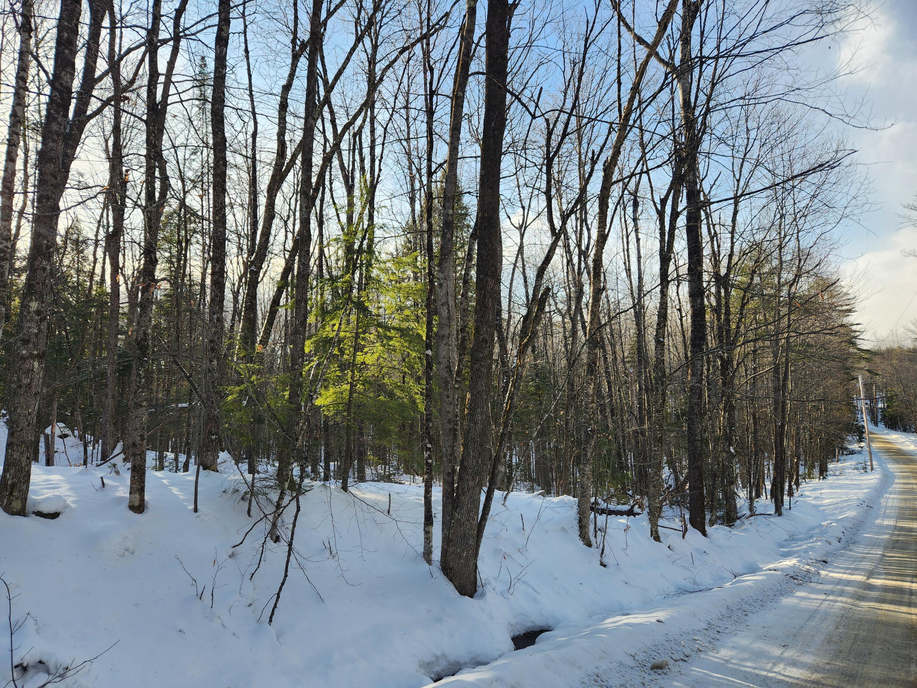 Map R15-37 Map R15-37 Fields Hill Road Sumner, ME 04292 - Photo 2 of 10 20260102_141523