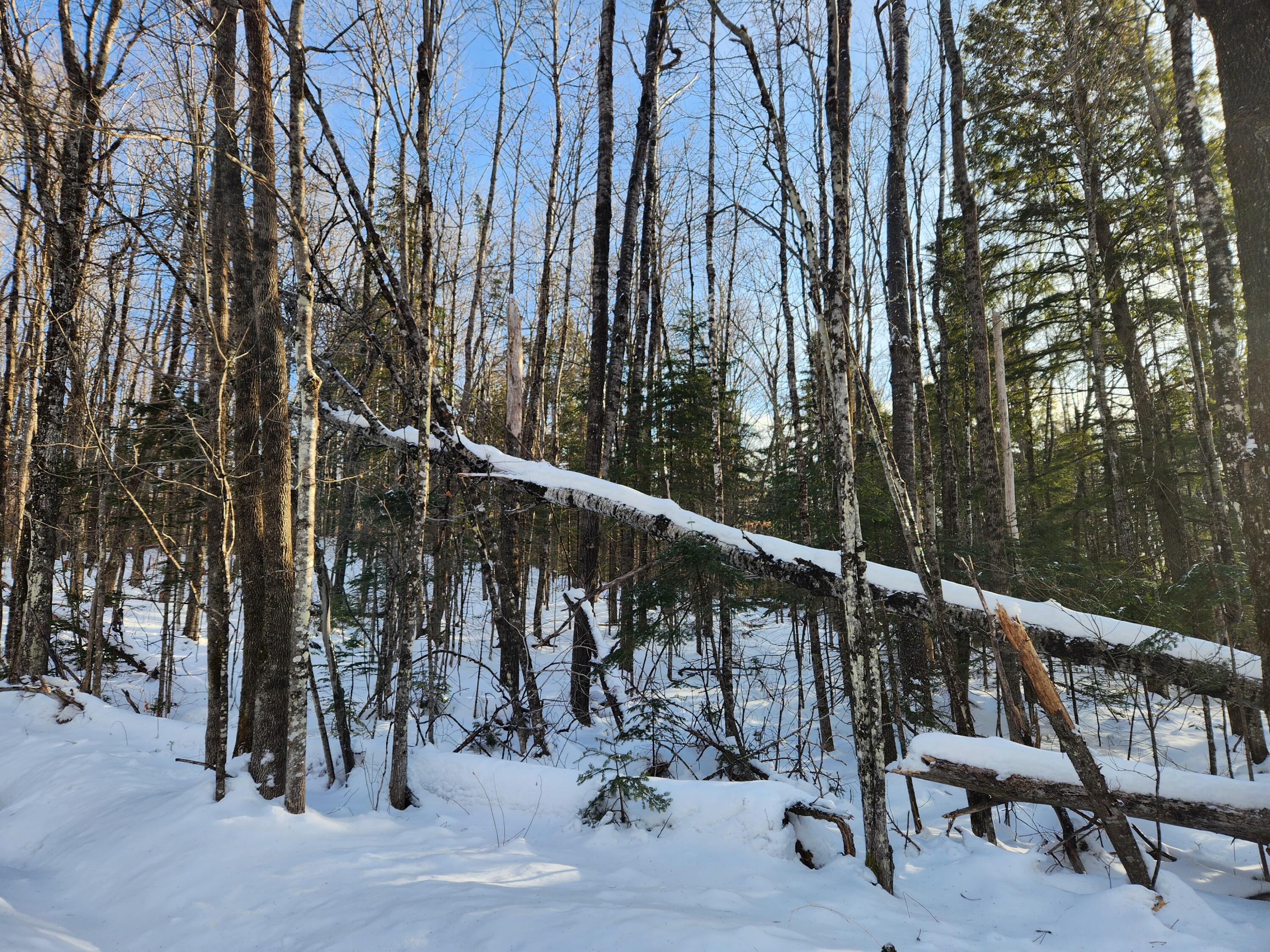 Map R15-37 Map R15-37 Fields Hill Road Sumner, ME 04292 - Photo 7 of 10 20260102_142046