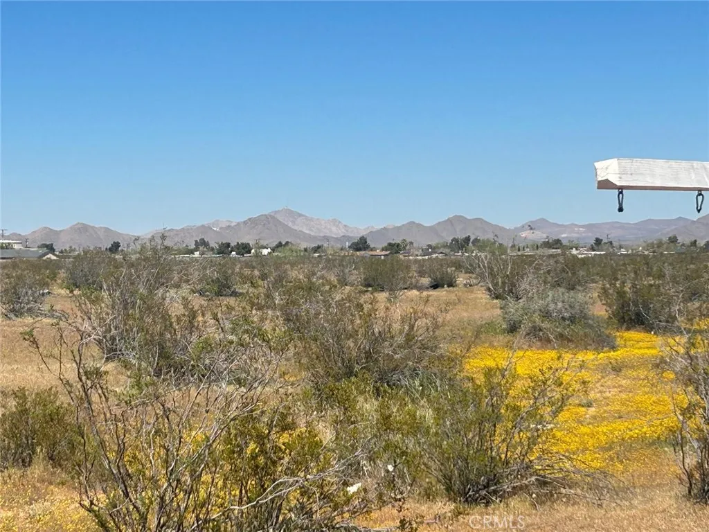 20 Matawan Road Apple Valley, CA 92307 - Photo 9 of 13