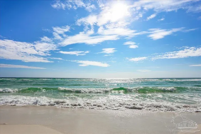 a view of a dry yard with wooden fence