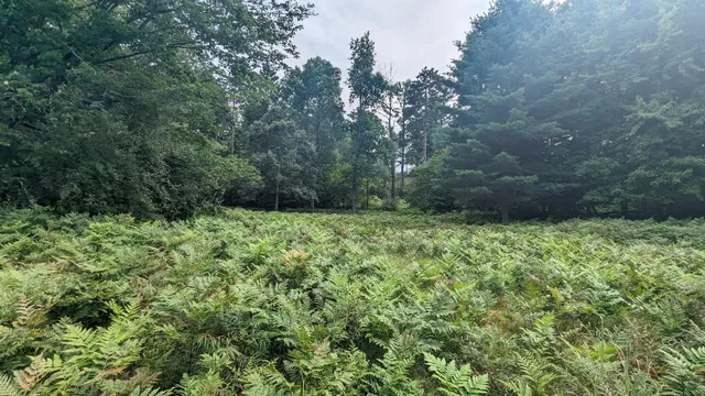 $39,900 | V/l Meadowview Trail, Unit 167, Custer, MI 49405