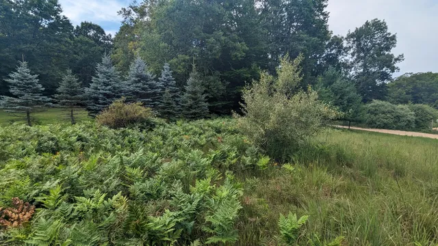 $39,900 | V/l Meadowview Trail, Unit 167, Custer, MI 49405