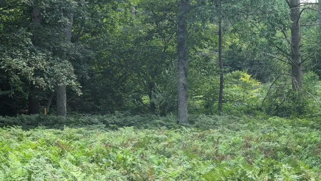 $39,900 | V/l Meadowview Trail, Unit 167, Custer, MI 49405