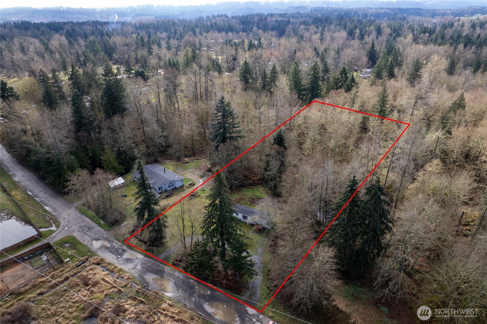 14512 246th Street East Graham, WA 98338 - Photo 34 of 39 a view of a forest from a balcony