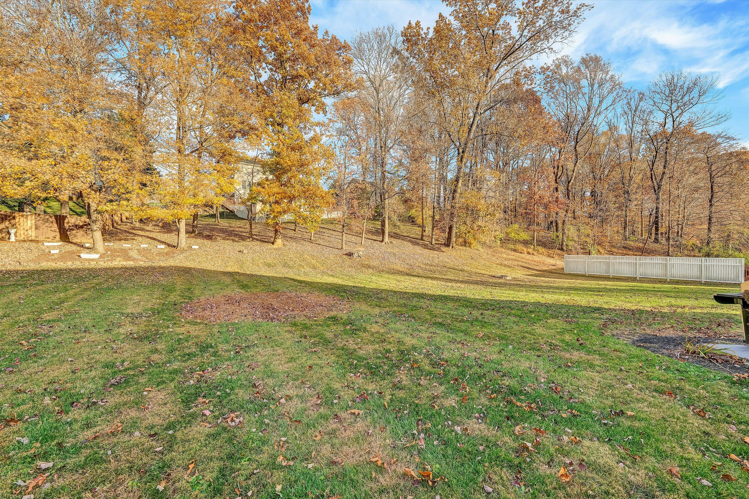 826 Coyner Springs Road Roanoke, VA 24012 - Photo 36 of 37 37-DSC00587