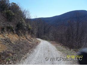 0 Terry's Gap Road Fletcher, NC 28732 - Photo 3 of 12