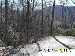 0 Terry's Gap Road Fletcher, NC 28732 - Photo 8 of 12