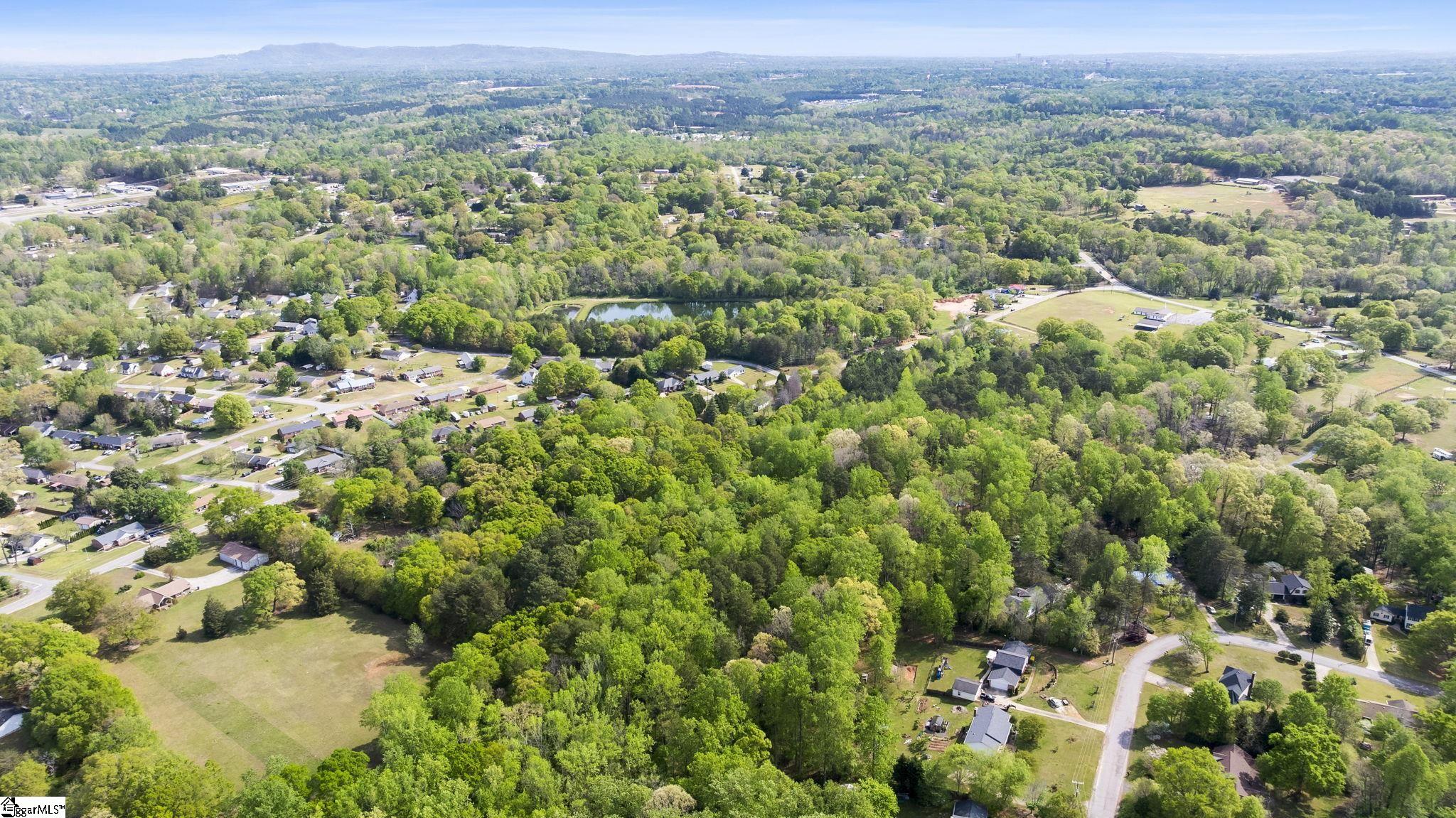 4371 Old Easley Bridge Road Easley, SC 29642 - Photo 6 of 23