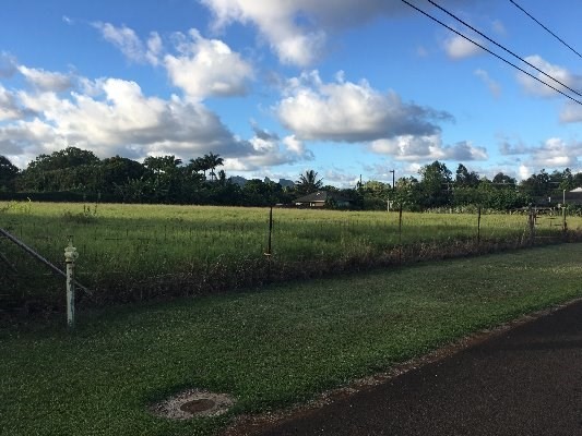 6128 Alapaki Road Kapaa, HI 96746 - Photo 1 of 1 a view of a golf course with a lake