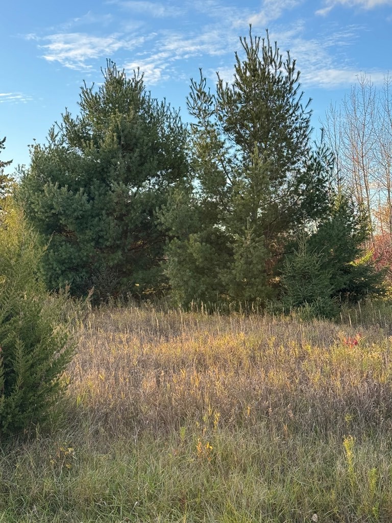 Valley View Trail Sturgeon Bay, WI 54235 - Photo 6 of 12