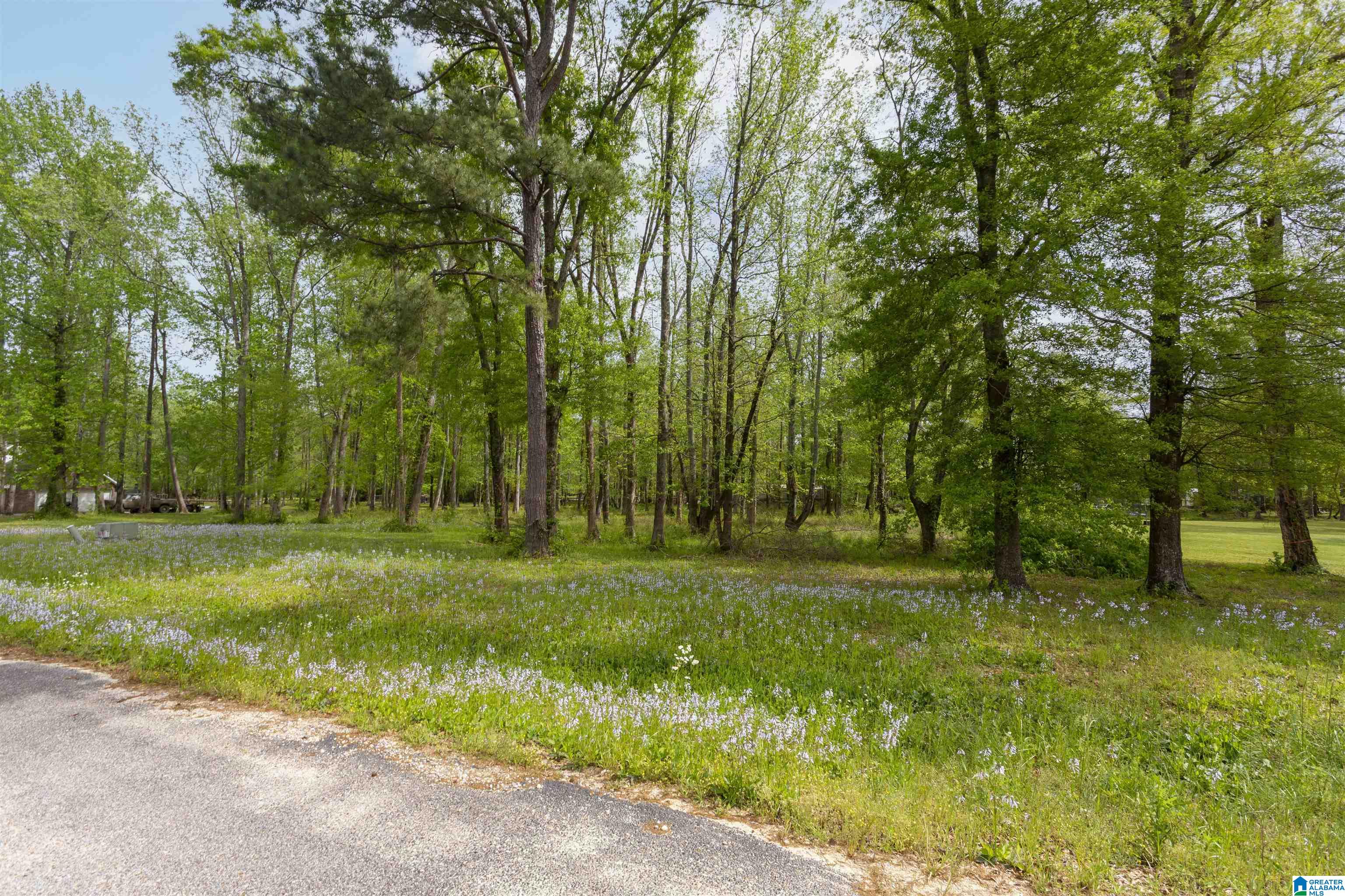 797 County Road Clanton, AL 35045 - Photo 38 of 44