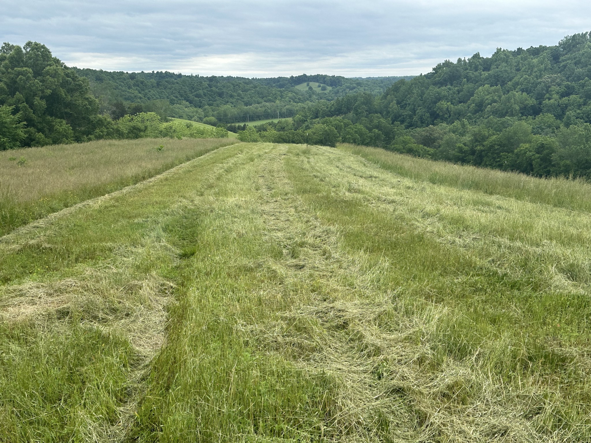 0 Riddle Road Shelbyville, TN 37160 - Photo 7 of 12 Gallery Image 7