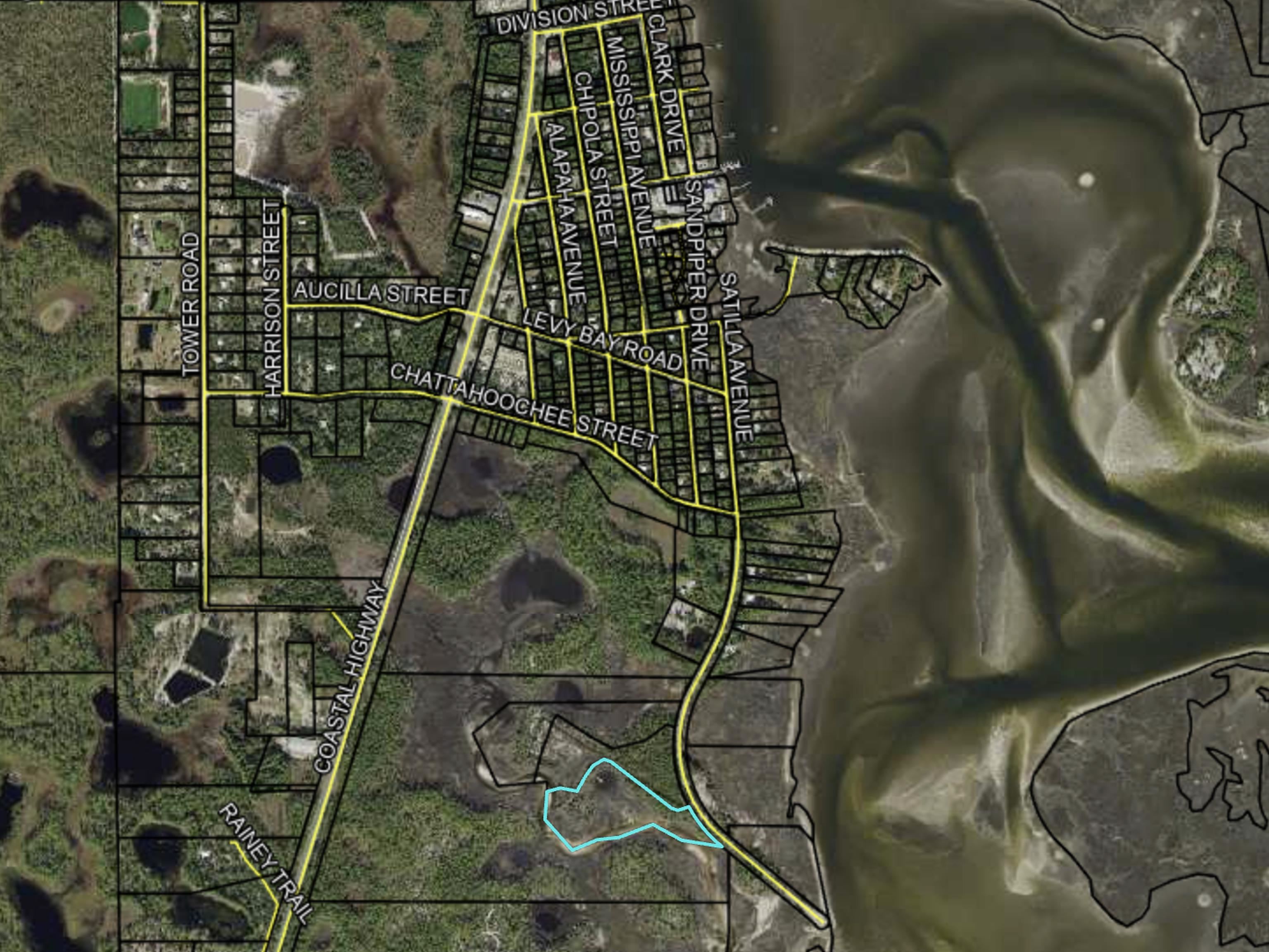 337 Levy Bay Road Panacea, FL 32346 - Photo 3 of 12
