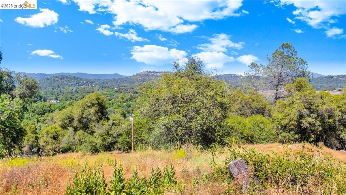 14275 Tuolumne Road Sonora, CA 95370 - Photo 7 of 22