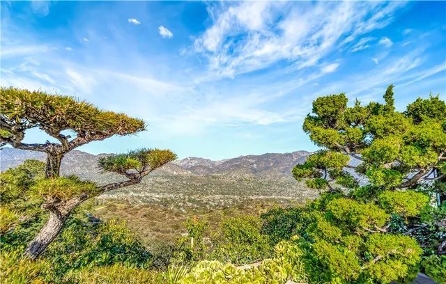 a view of a bunch of flowers in a garden