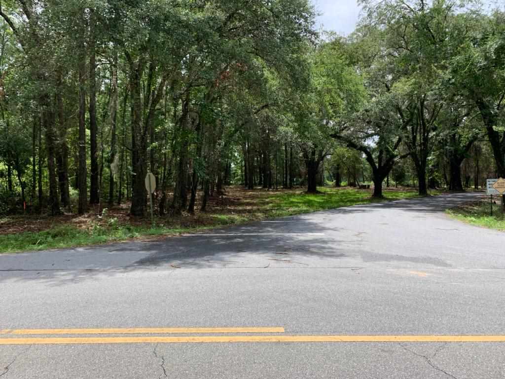North Salt Road Monticello, FL 32344 - Photo 1 of 4 Gallery Image 1
