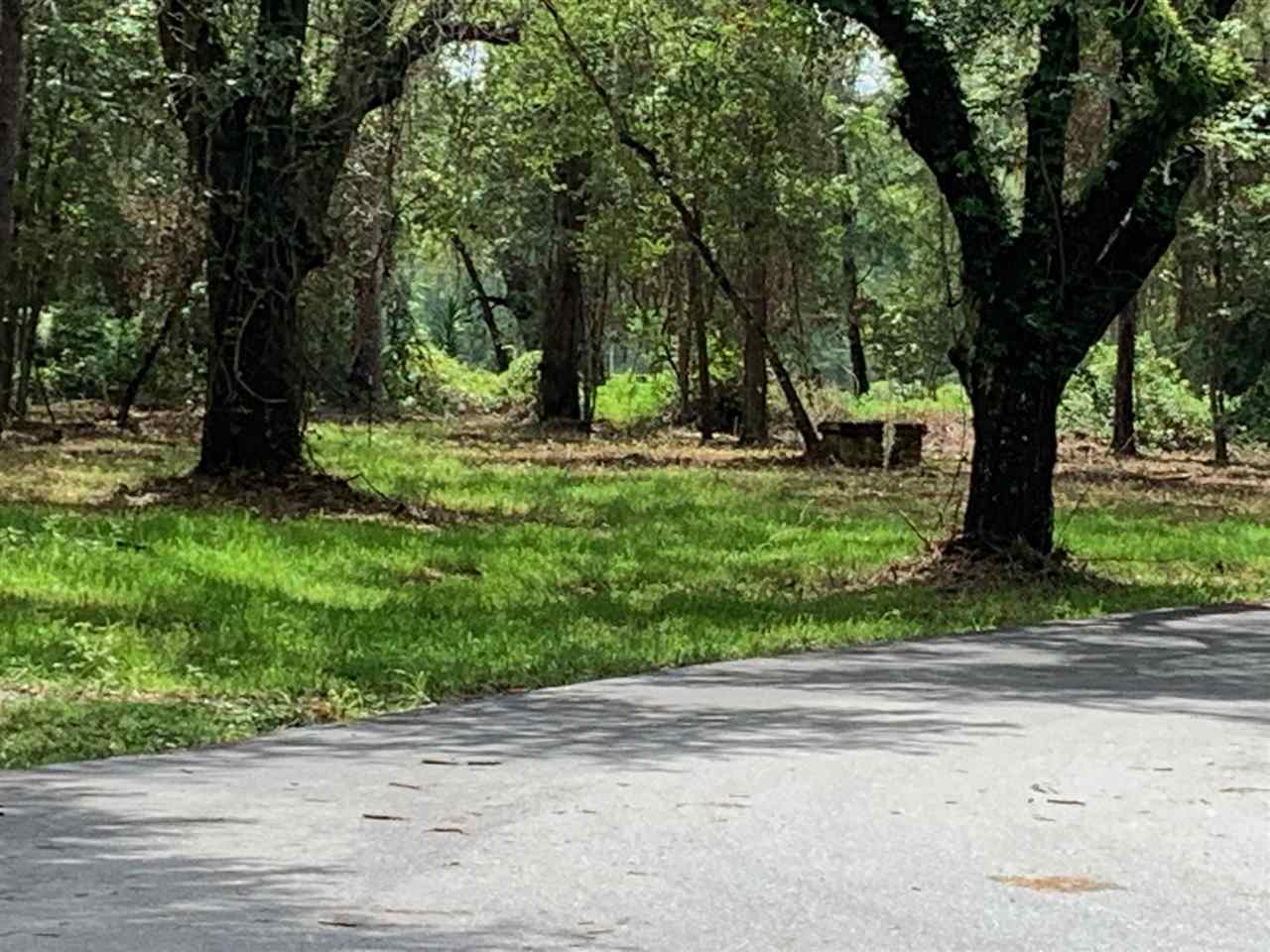 North Salt Road Monticello, FL 32344 - Photo 2 of 4 Gallery Image 2
