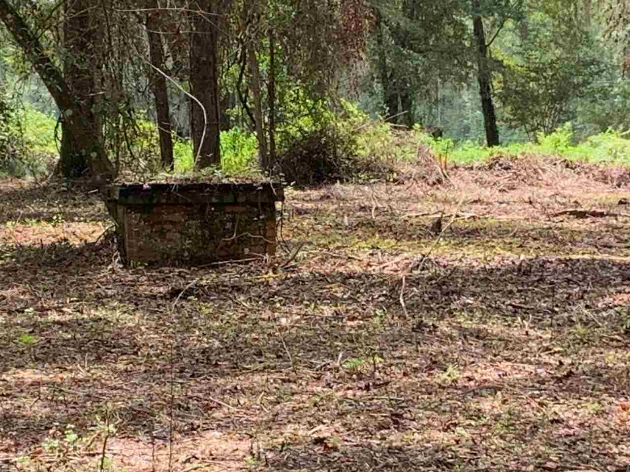 North Salt Road Monticello, FL 32344 - Photo 3 of 4 Gallery Image 3