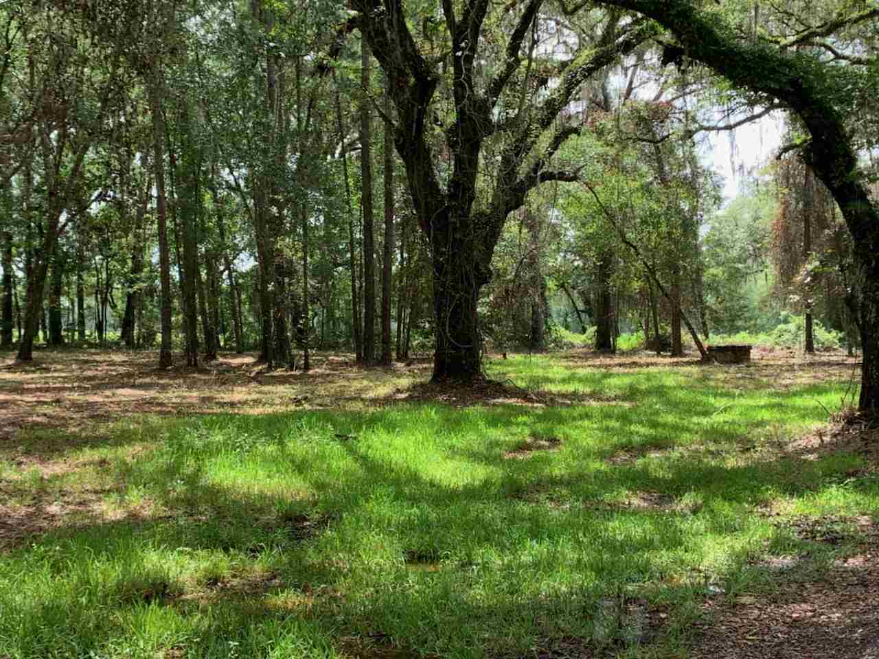 North Salt Road Monticello, FL 32344 - Photo 4 of 4 Gallery Image 4