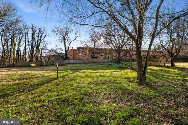 a view of a yard with a tree