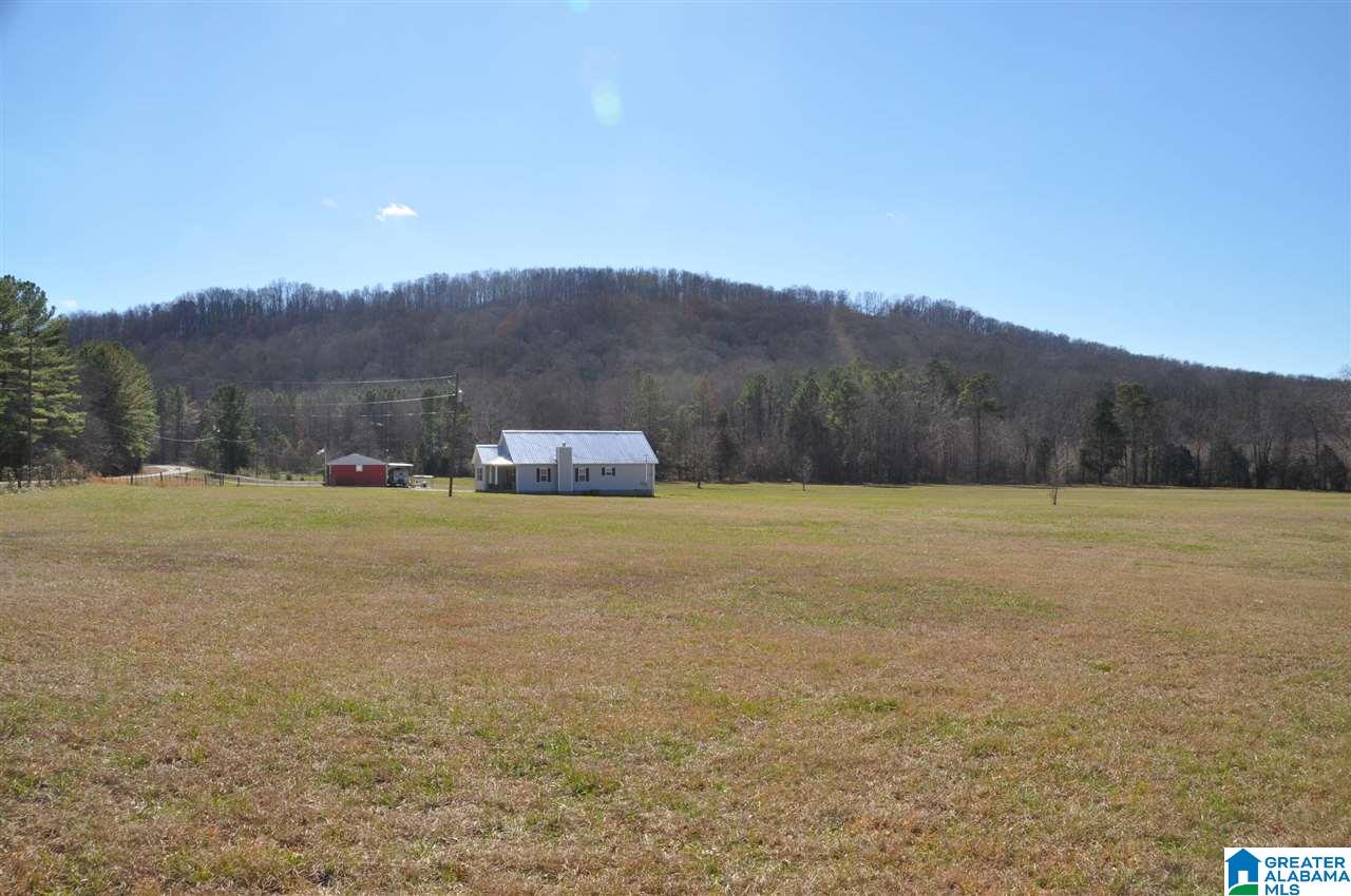 3787 Highway 11 Hayden Al Springville, AL 35146 - Photo 14 of 39