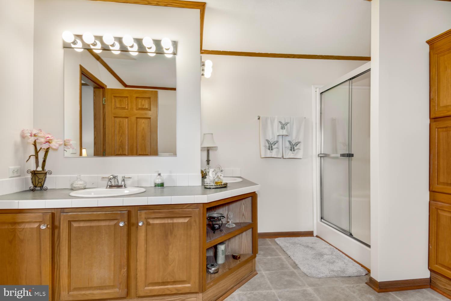 836 Murphy Road Centreville, MD 21617 - Photo 20 of 39 Master Bath w/ sep shower