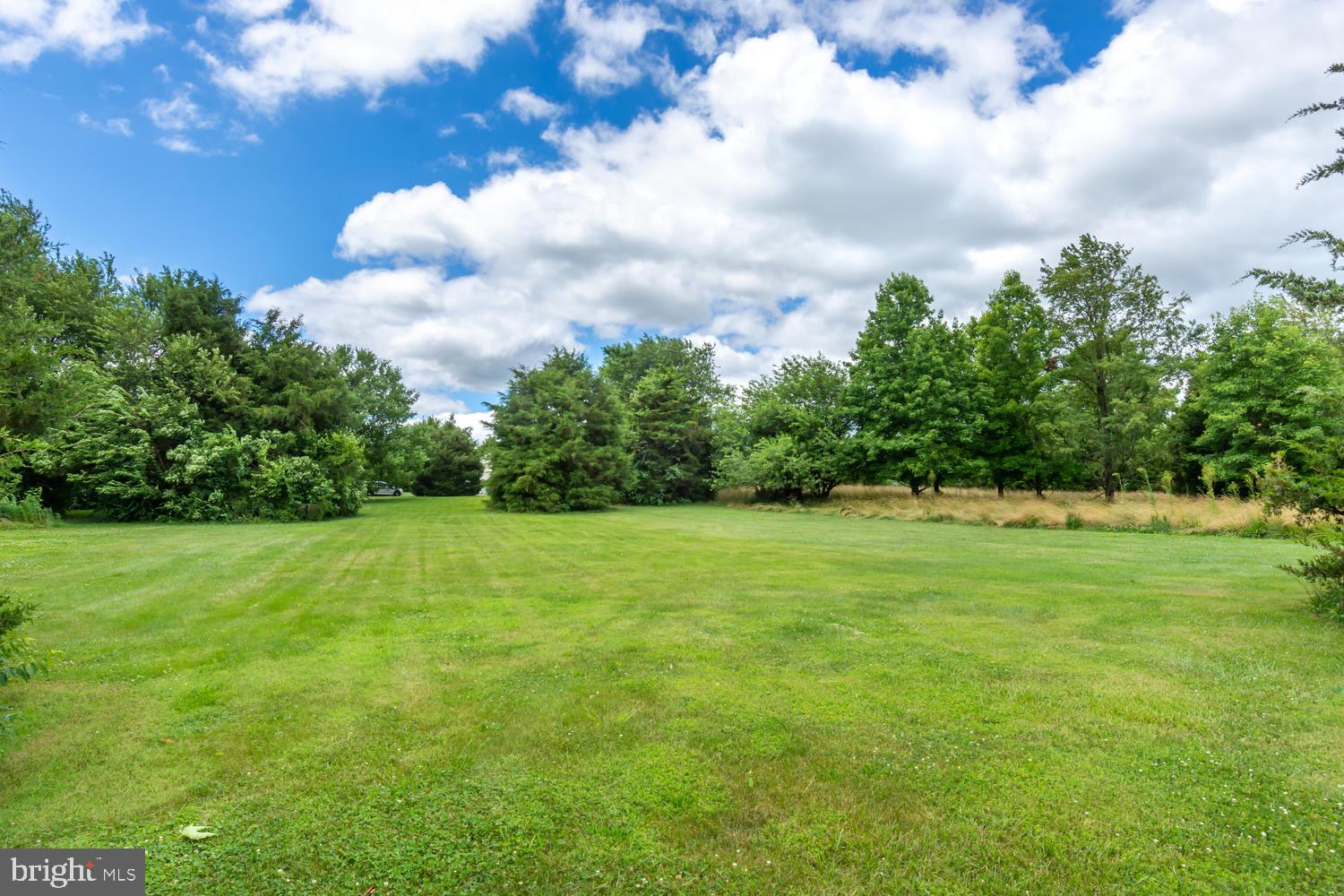 836 Murphy Road Centreville, MD 21617 - Photo 31 of 39 Back yard