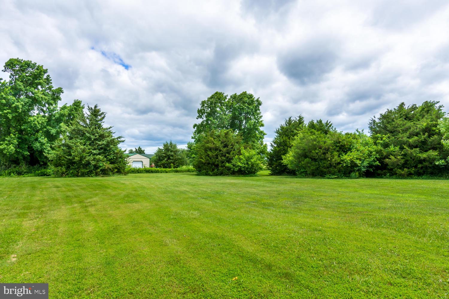 836 Murphy Road Centreville, MD 21617 - Photo 33 of 39 Backyard