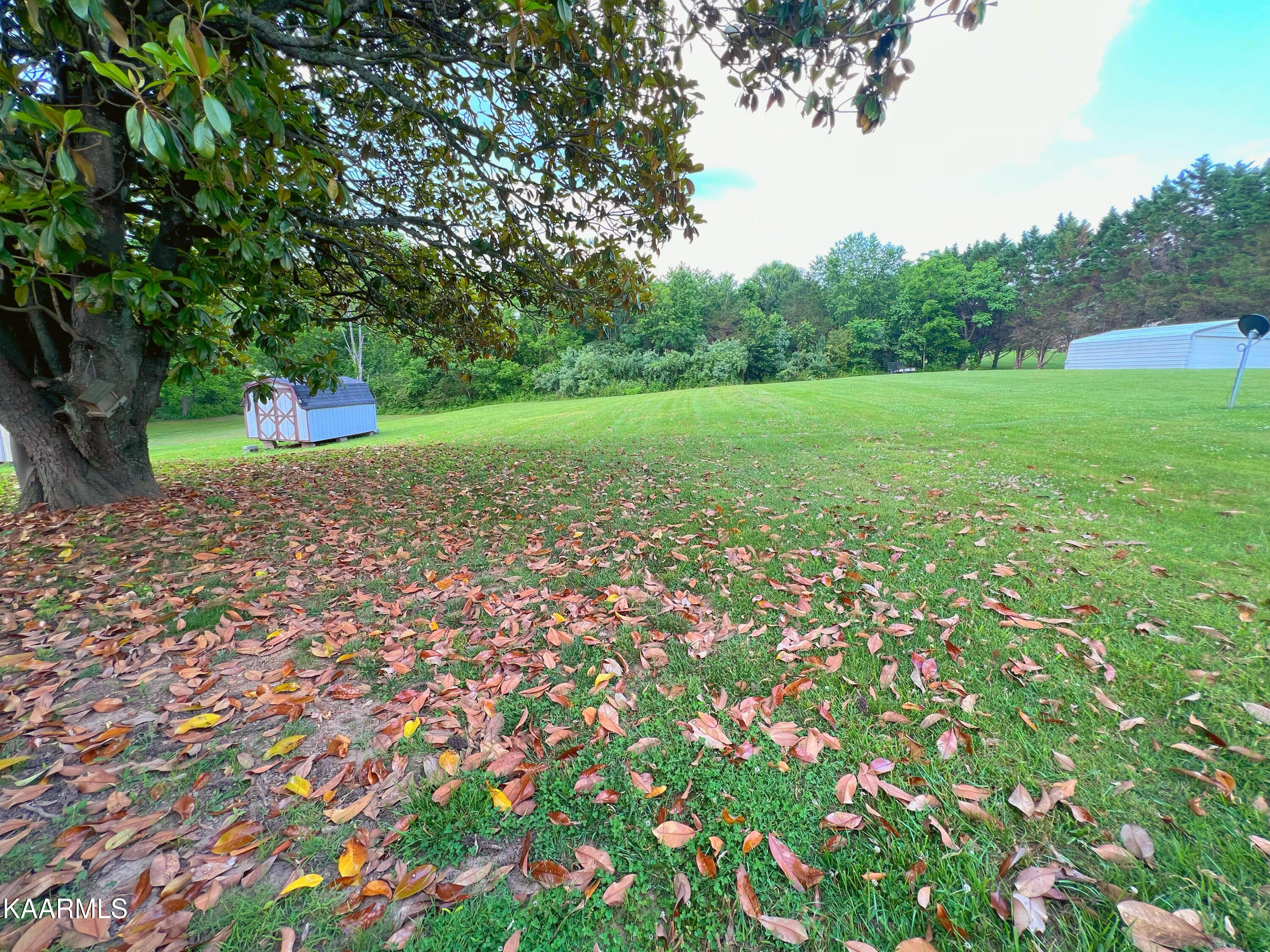 135 Sharp And Perkins Road Jacksboro, TN 37757 - Photo 5 of 18 Backyard 1-2