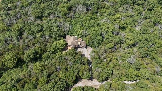 201 Roarks Cove Road Decherd, TN 37324 - Photo 50 of 55