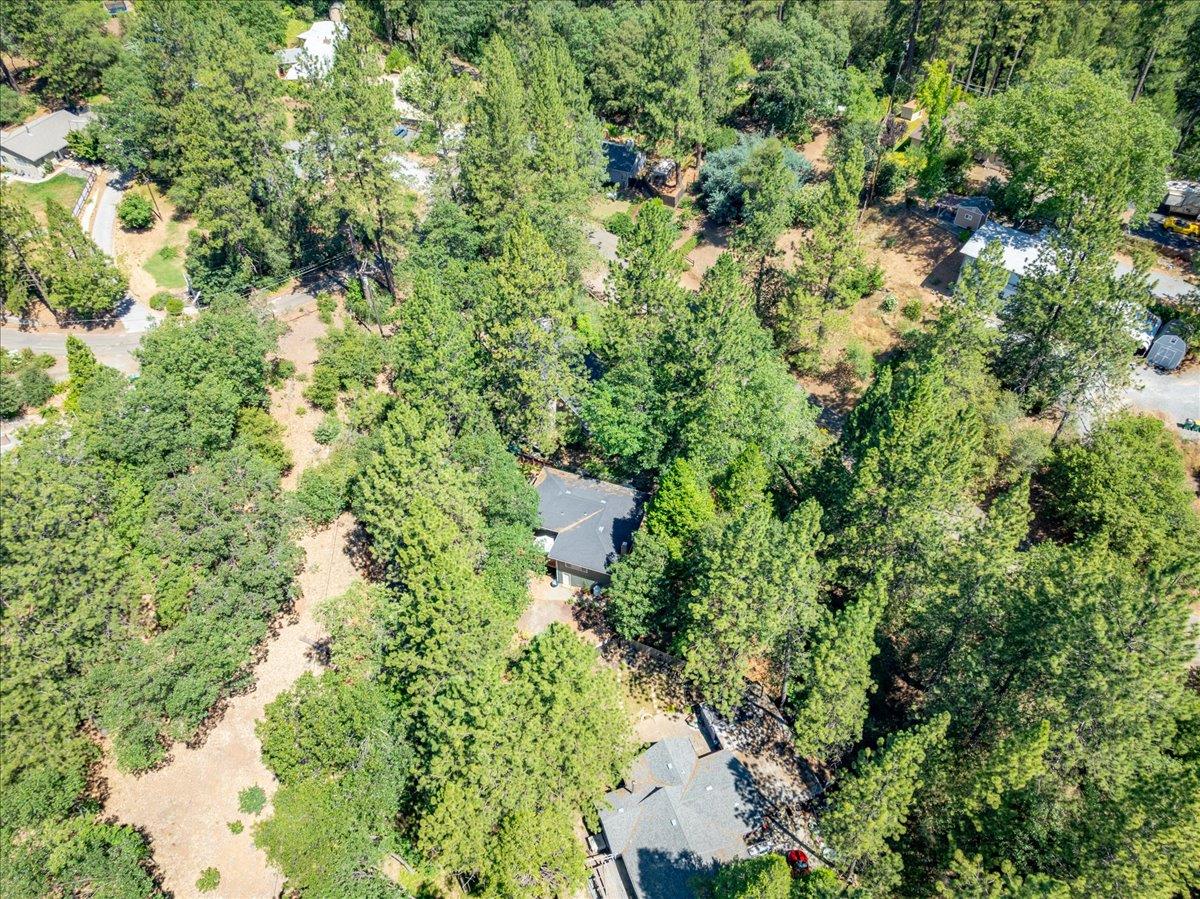 2939 Letitia Avenue Placerville, CA 95667 - Photo 57 of 59