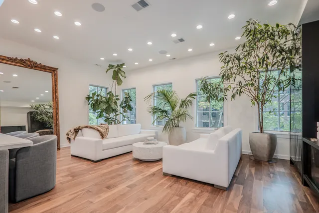 a living room with furniture and a potted plant