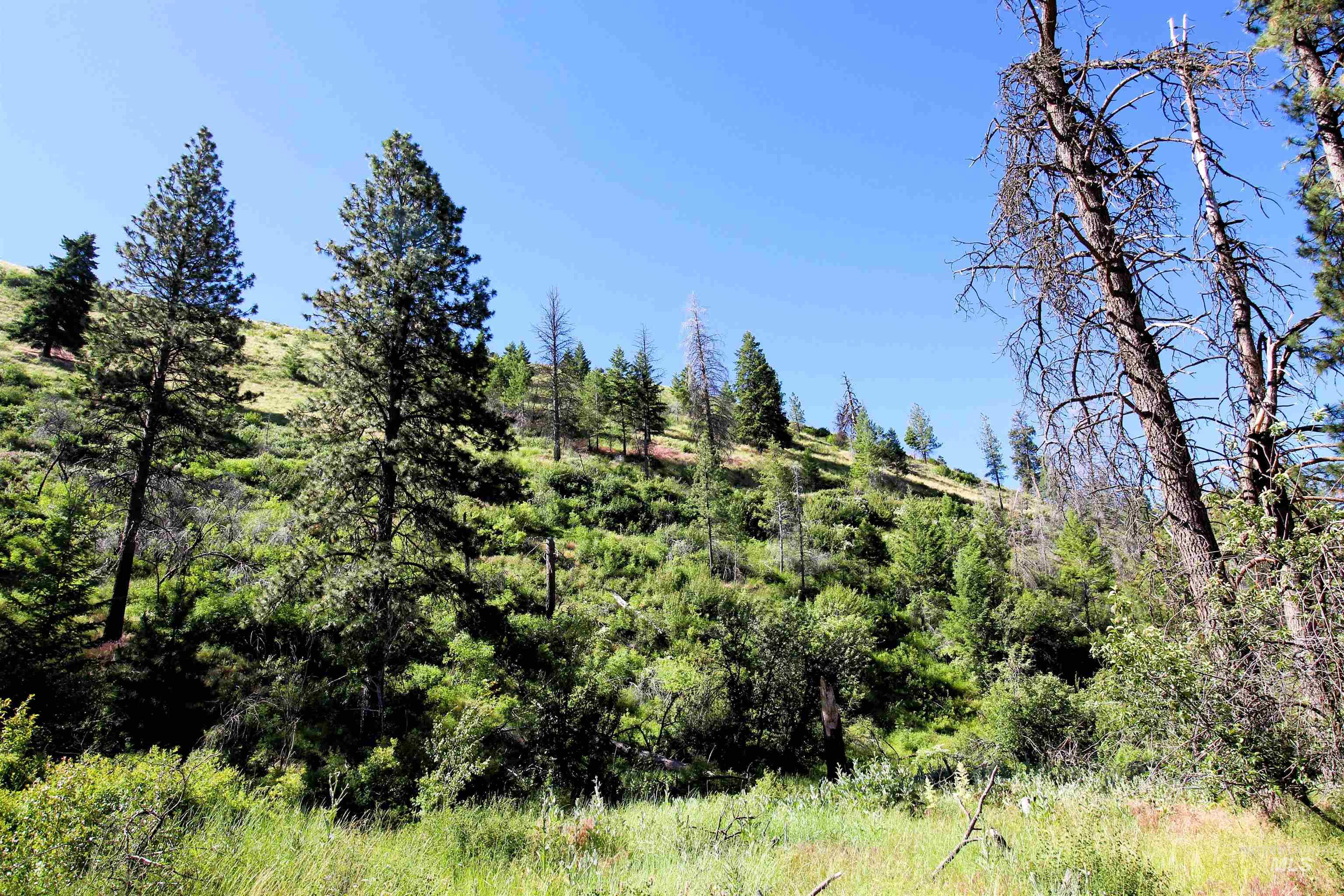 Tbd Advent Gulch Road Cambridge, ID 83610 - Photo 23 of 30