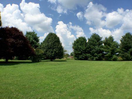 1011 Red Boiling Springs Road Lafayette, TN 37083 - Photo 17 of 19