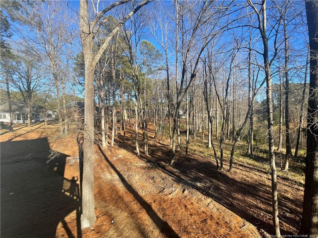 484 Falling Water Road Spring Lake, NC 28390 - Photo 18 of 18 Photo 18