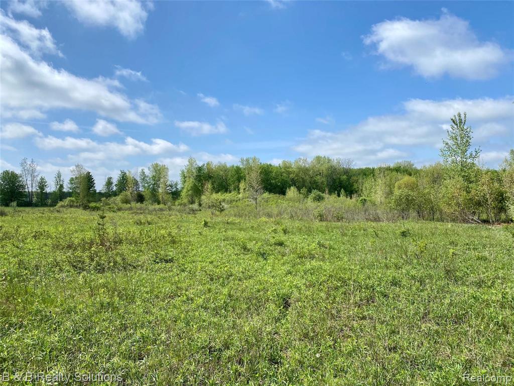 0 O Brien Road Mayville, MI 48744 - Photo 12 of 22