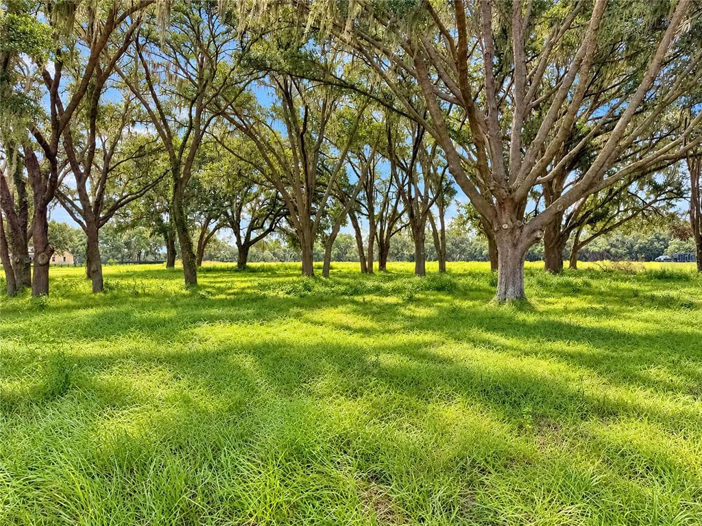 104 Southwest 104th Street Road Ocala, FL 34476 - Photo 16 of 19 Gallery Image 16