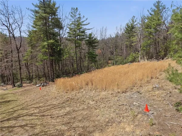 $145,000 | Lot 109-110 Pepper Bush Road, Purlear, NC 28665