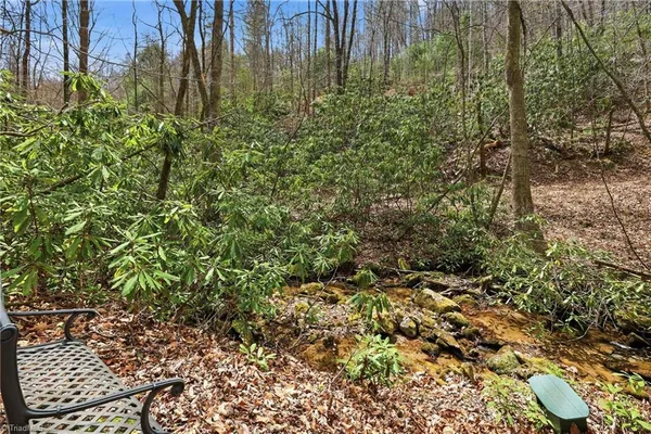 $145,000 | Lot 109-110 Pepper Bush Road, Purlear, NC 28665