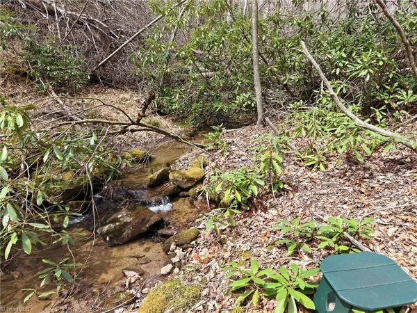 $145,000 | Lot 109-110 Pepper Bush Road, Purlear, NC 28665