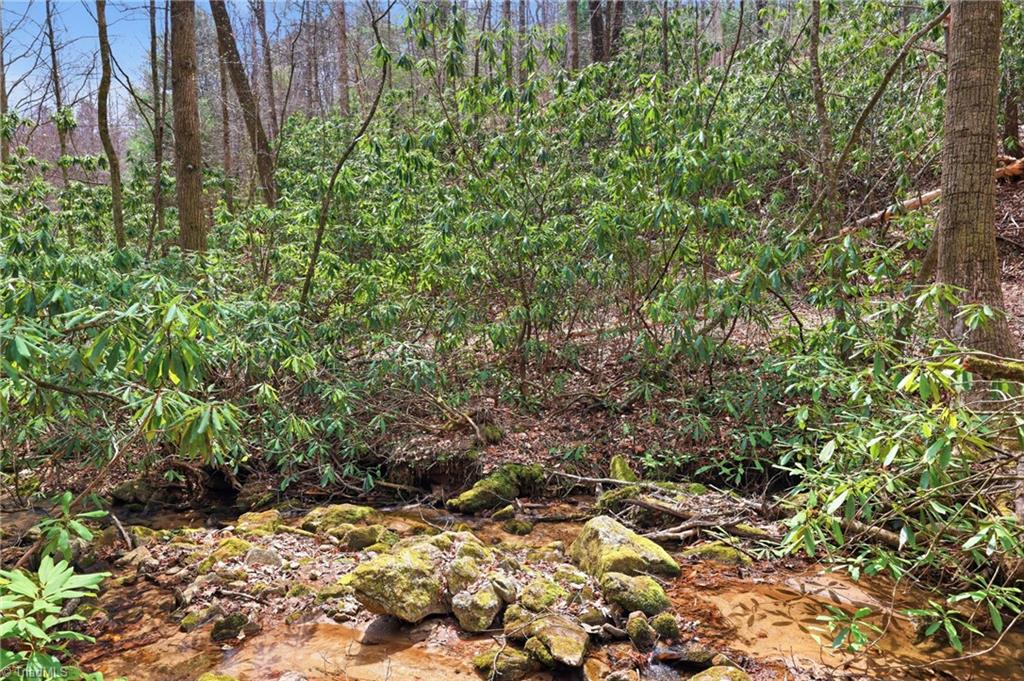 Lot 109-110 Pepper Bush Road Purlear, NC 28665 - Photo 24 of 36