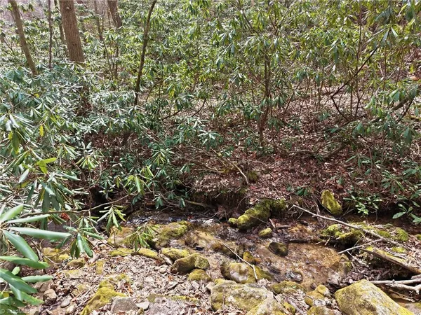 $145,000 | Lot 109-110 Pepper Bush Road, Purlear, NC 28665